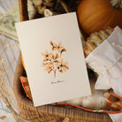 tucking the dianthus flower postcard into a gift basket