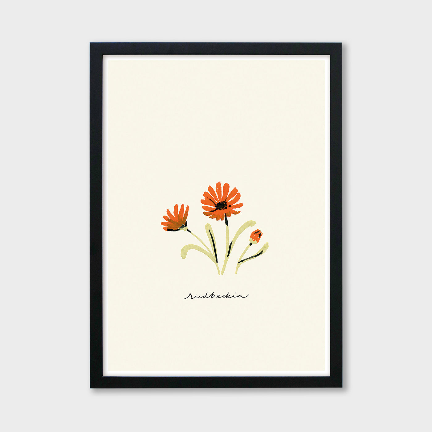 rudbeckia flower print in a black frame