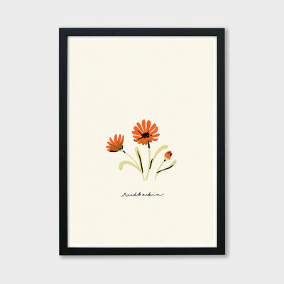 rudbeckia flower print in a black frame