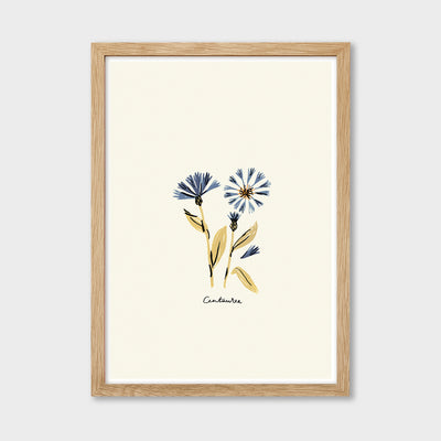 blue flower centaurea print in an oak frame
