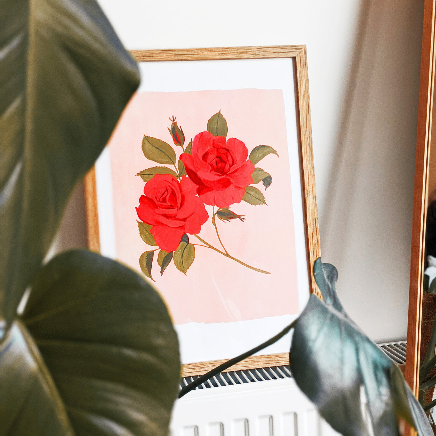 A Botanical Floral Print Of A Pair Of Red Roses On A Pink Background In An Oak Frame Behind A Houseplant - Annie Dornan Smith