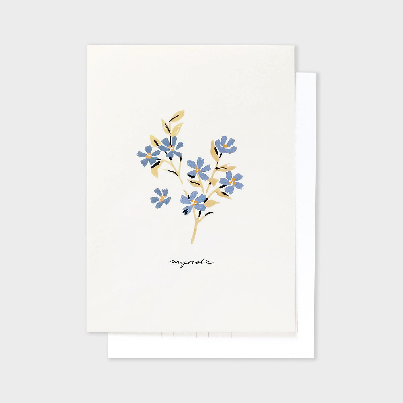 blue flower forget-me-not postcard