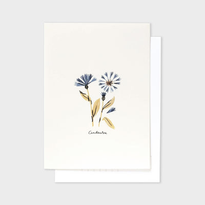 centaurea blue floral postcard